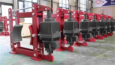 Industrial Hoist Drum Brake